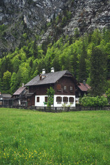Fototapeta na wymiar Wooden cozy house on a large green field. The house is surrounded by forest and high mountains. Alpine meadow in the mountains with a small house.