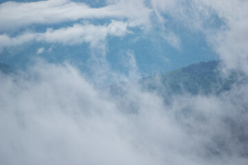 Naklejka na ściany i meble Fog on a mountain range in the Carpathian mountains