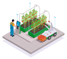 Modern Greenhouse Isometric Colored Concept
