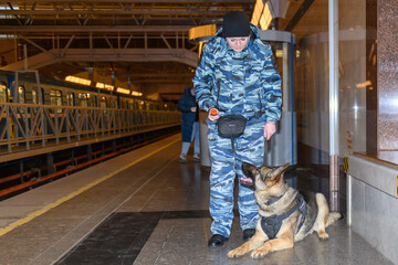 Female police officer with a trained german shepherd dog sniffs out drugs or bomb in luggage....