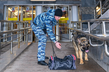 Female police officer with a trained dog sniffs out drugs or bomb in luggage. German shepherd...