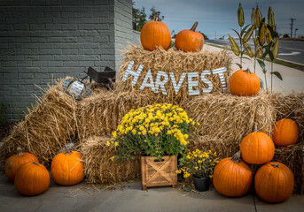 Autumn display outdoors
