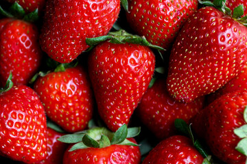 Primer plano de Fresas recién sacadas de la huerta.