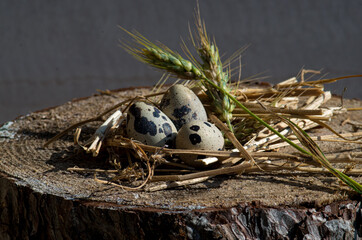 decorated eggs of quail with a nurse of wheat and wood to protect them