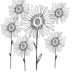 hand drawn illustration of sunflowers in pattern
