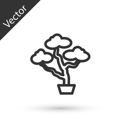 Grey line Japanese bonsai tree icon isolated on white background. Japanese culture, horticulture, olericulture hobby concept. Vector