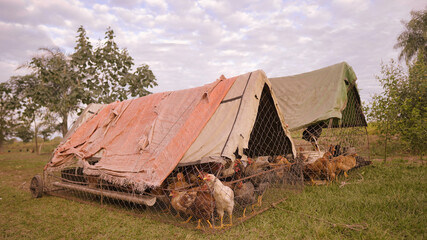 Granja © carlosfederico