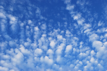 delicate white clouds in the bright blue sky