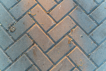 The gray texture of paving tile. Sun