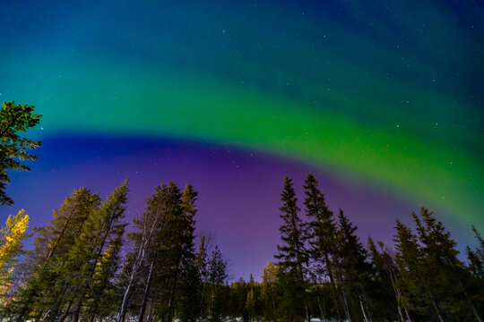 Arctic polar night starry sky background of aurora borealis and Northern Lights in forest