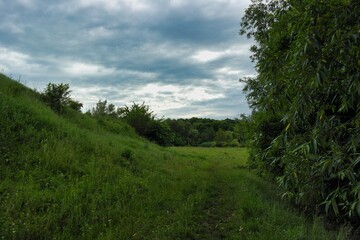 Obraz premium Summer landscape on a riverside flooded meadow with trees and lush green grass