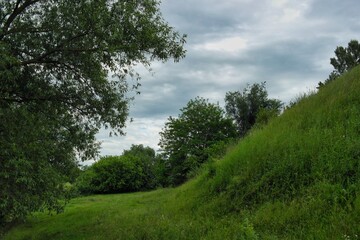 Summer landscape on a riverside flooded meadow with trees and lush green grass