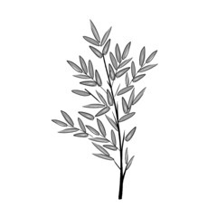 hand drawn illustration of bamboo tree and leaves in simple icon drawing 