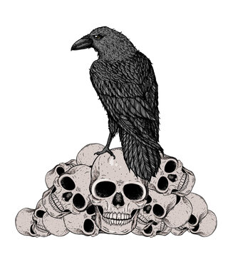 recommend clip art: Black raven sits on the skulls. Skull and raven hand drawn illustration. Tattoo vintage print. Skull hand drawn print. Tattoo design. Pile of skulls and raven.