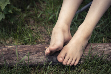 Bare feet lie on an old log close-up. Barefoot is a way of life. Summer relaxation concept.