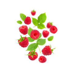 Flying raspberries with green leaves isolated on white background. Sweet ripe fresh delicious raspberry, summer berry, organic food, vitamins. Creative background with falling raspberry fruits