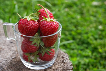 Berries from garden. Glass cup with red ripe strawberries on a stump in the garden against a background of green grass. Healthy breakfast.