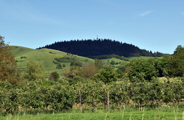 Obraz premium Grüne Frühlingslandschaft im Kaiserstuhl