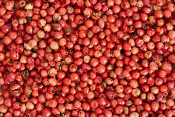 Pink peppercorn background, close up