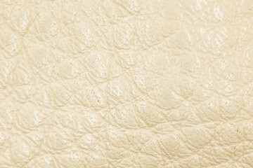 Beige leather texture and background close-up photo, high detailed surface
