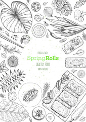 Asian food menu design template. Spring rolls and ingredients for spring rolls vector illustration. Vietnamese food top view frame. Vintage hand drawn sketch vector illustration. Engraved image.