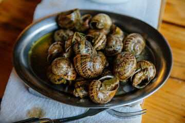 Escargots de Bourgogne, Snails herbs butter, traditional pan with parsley sauce, wooden table, gray background, selective focus, Private snail farm, Prague, Czech Republic