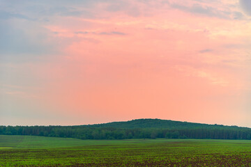 Green field and pink sunset before rain like in Kenya.