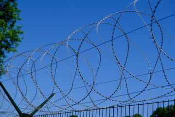 Barbed wire and freedom , summer day