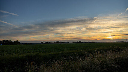 sunset in the field