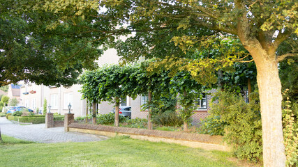alley in the park