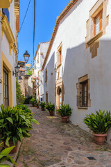 Fototapeta na wymiar Narrow cobblestone wavy streets with potted tropical plants in the labyrinths of medieval Old Town of Tossa de Mar in Catalonia, Spain. Famous tourist destination in South Europe