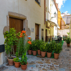 Fototapeta na wymiar Narrow cobblestone wavy streets with potted tropical plants in the labyrinths of medieval Old Town of Tossa de Mar in Catalonia, Spain. Famous tourist destination in South Europe