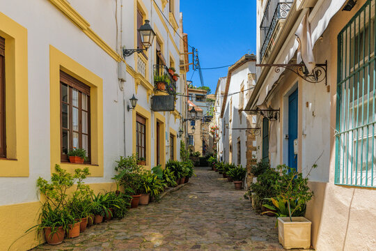 Fototapeta Narrow cobblestone wavy streets with potted tropical plants in the labyrinths of medieval Old Town of Tossa de Mar in Catalonia, Spain. Famous tourist destination in South Europe