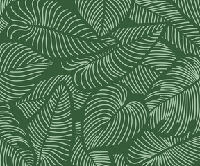 Luxury floral nature background vector. nature tropical pattern, split-leaf Philodendron plant with monstera plant line arts, Vector illustration