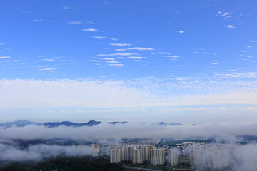 파란하늘에 아침안개와 도시풍경