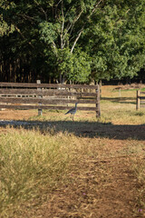 paisagem do campo no sítio com cerca