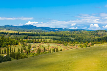 Beautiful landscape in Tuscany countryside, Italy. Sunny day