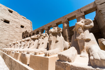 antique statues of many sheep in the karnak temple in luxur