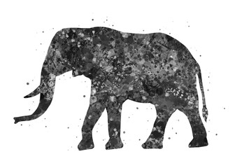 Elephant Animal black and white watercolor, abstract painting. Watercolor illustration rainbow, colorful, decoration wall art.