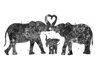 Elephant family love Animal black and white watercolor, abstract painting. Watercolor illustration rainbow, colorful, decoration wall art.