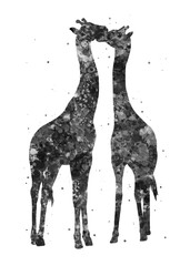 Giraffe couple Animal black and white watercolor, abstract painting. Watercolor illustration rainbow, colorful, decoration wall art.