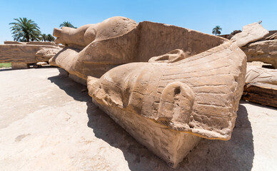 An ancient statue of Pharaoh lies on the ground in a Karnak temple in Luxor