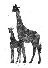 Giraffe and baby Animal black and white watercolor, abstract painting. Watercolor illustration rainbow, colorful, decoration wall art.