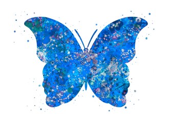 Butterfly insect Animal blue watercolor art, abstract painting. Watercolor illustration rainbow, colorful, decoration wall art.