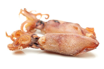 dried squid isolated on white background 