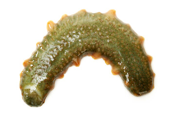sea cucumber as a delicious sea food in Asian countries on white background - Powered by Adobe