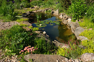 ittle decorative pond surrounded by little beautiful flowers and stones