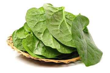 fresh malabar spinach vegetable leaves