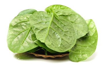 fresh malabar spinach vegetable leaves