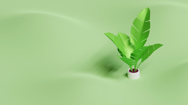 Summer Landing Page Template With Banana Leaf Plant 3D Rendering